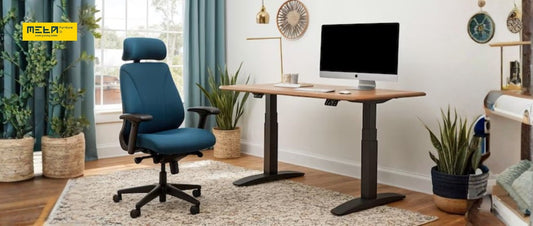 Ergonomic Office Chairs